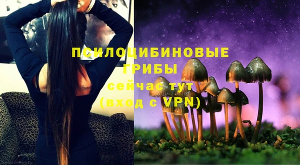 трава Каменногорск
