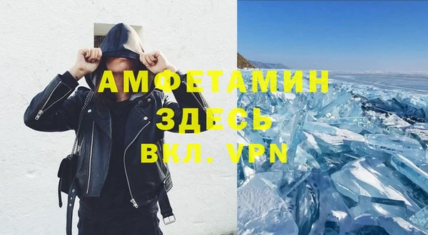 индика Новозыбков